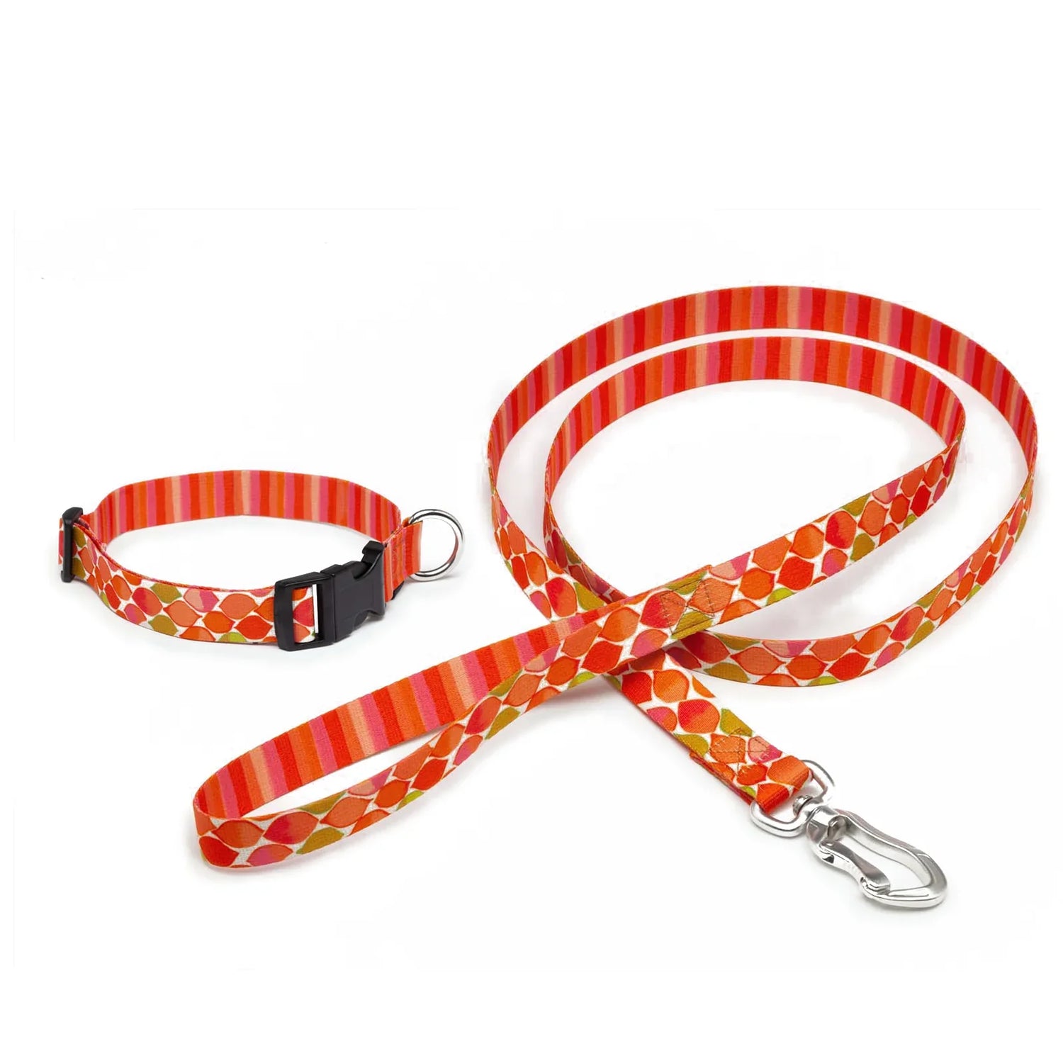 Collars & Leashes