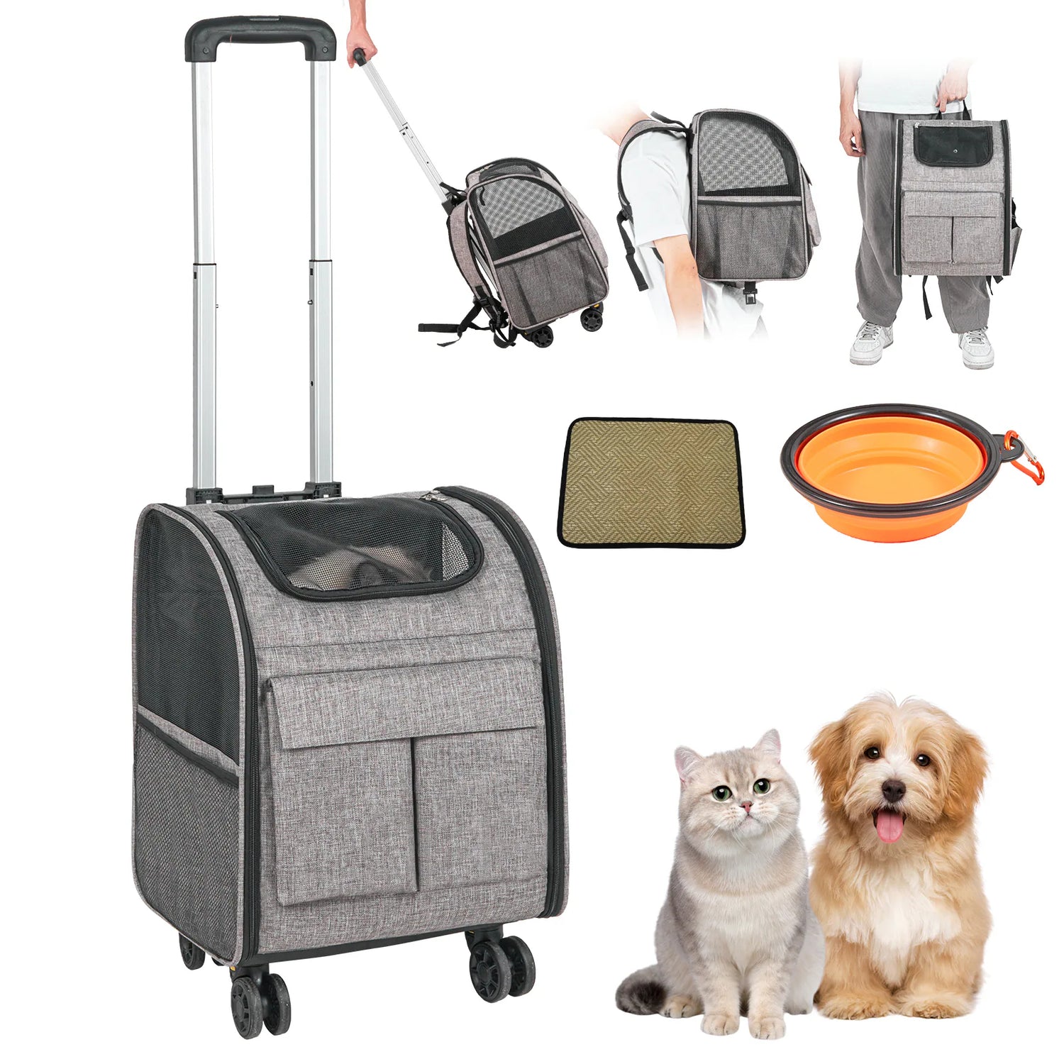 Travel & Carriers