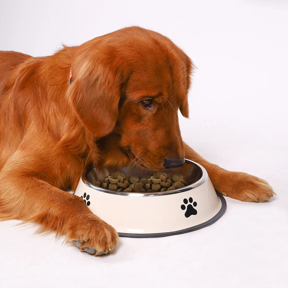 Stainless steel large capacity pet bowl dog food bowl multiple specifications anti-fall food bowl food bowl feeding pet supplies
