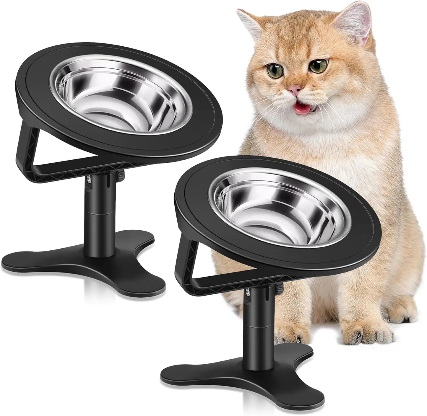 Raised Cat Bowls,Elevated for Indoor Cats with Height-Adjustable Stand Non-Slip Stainless Steel Bowl 15° Tilted Kitten Food Bowl