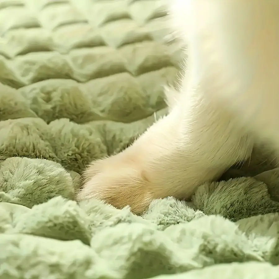 Winter Pet Bed Mat with Zipper Remolvable Elastic Cat Bed for Dog Sleeping Mat Washable Cat Nest Pet Sofa Cushion for Medium Dog
